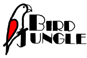 bird jungle ny