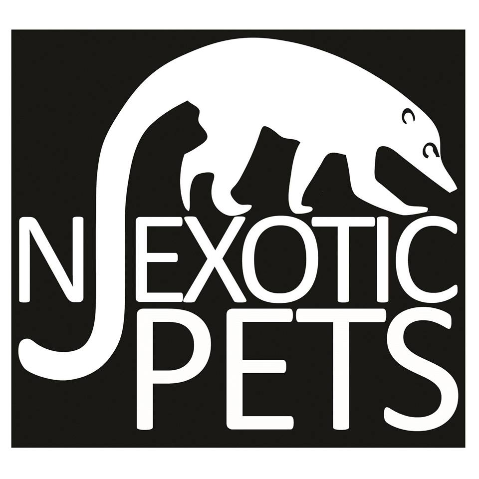 NJ EXOTIC PETS