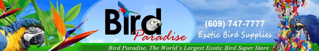 cropped-Bird_paradise_header