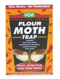 FLOUR MOTH TRAPS