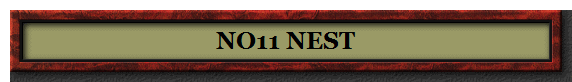 NO11 NEST