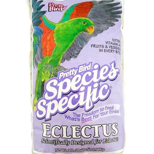 F_PB_EclectusSpec