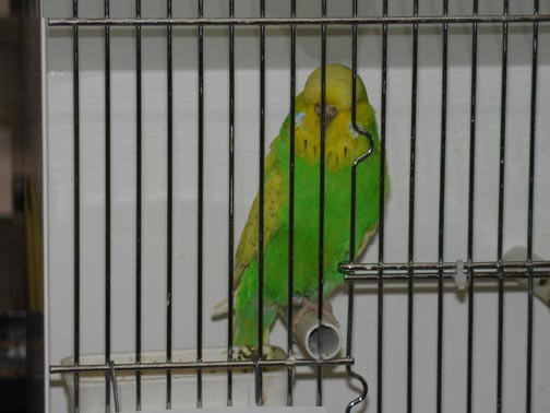 REG200616