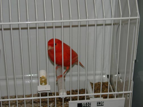REG200632