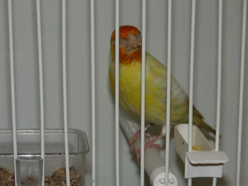 REG200650