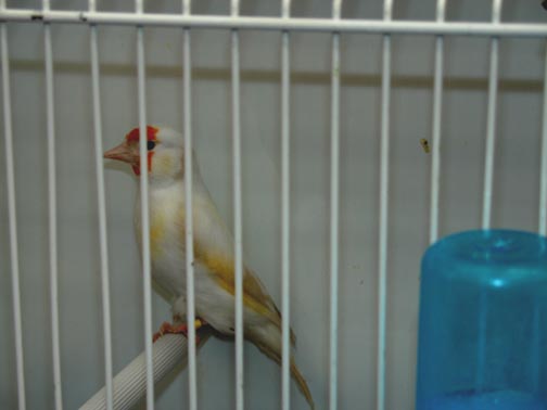 REG200654