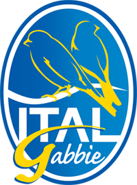 logo_italgabbie1
